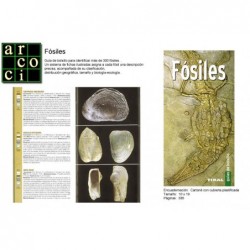 Fósiles - Guía de bolsillo